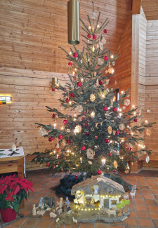 Christbaum a