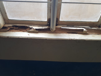 Fensterrahmen Termiten